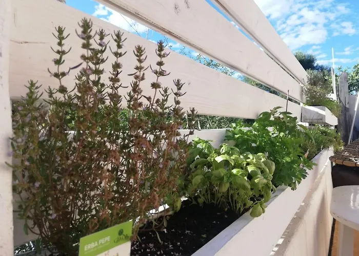 ゲストハウス Flamingo Guest House-