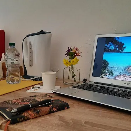 Flamingo Guest House- Casa de hóspedes